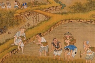 古代农作物，穿越时空的绿色奇迹